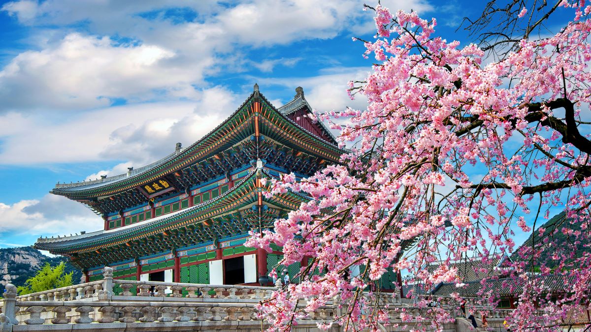 Primavera en Corea del Sur